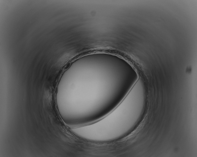 X0000090441257200707131022