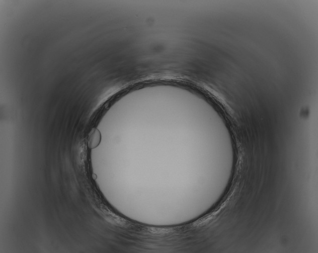 X0000090441258200707131022