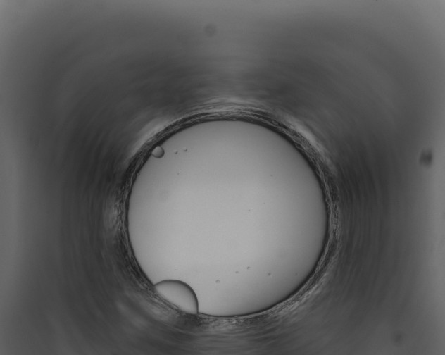 X0000090441259200707131022