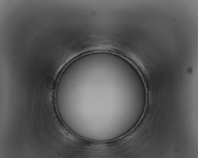 X0000090441260200707131022