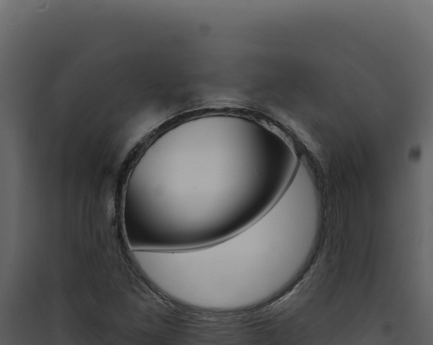 X0000090441261200707131022