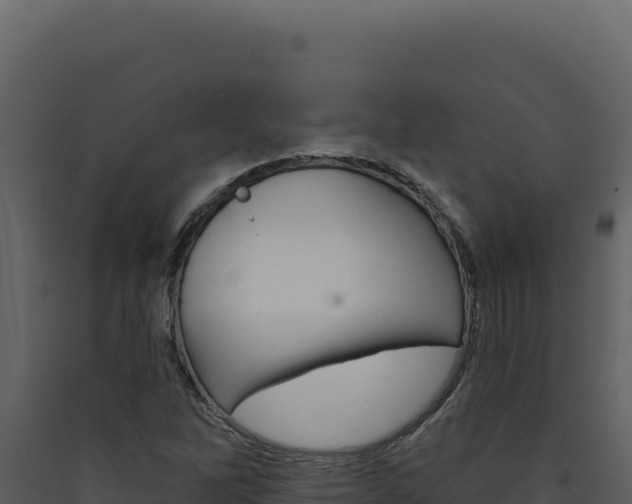 X0000090441262200707131022