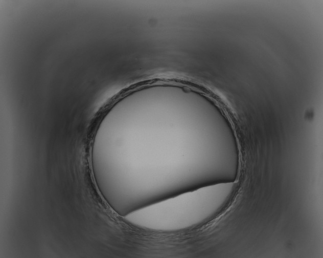 X0000090441263200707131022