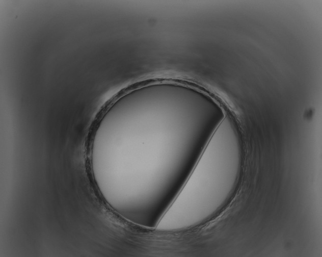 X0000090441264200707131022
