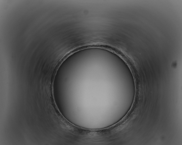 X0000090441265200707131022