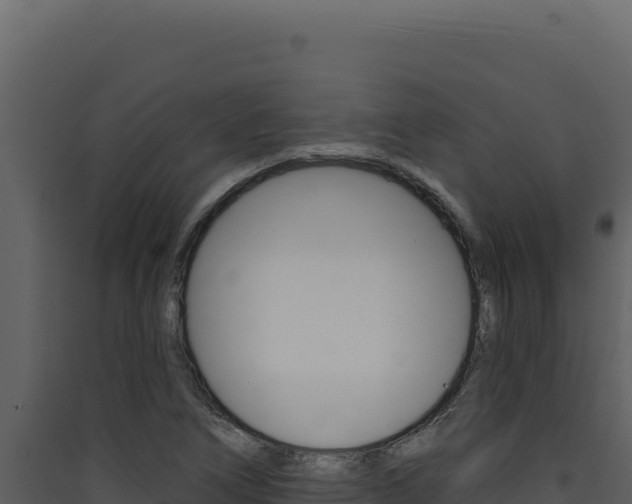 X0000090441266200707131022