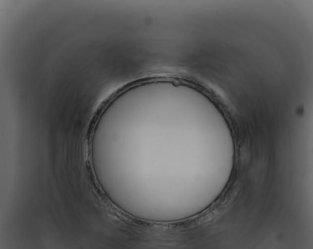 X0000090441267200707131022