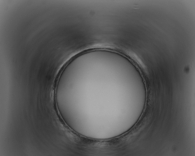 X0000090441268200707131022