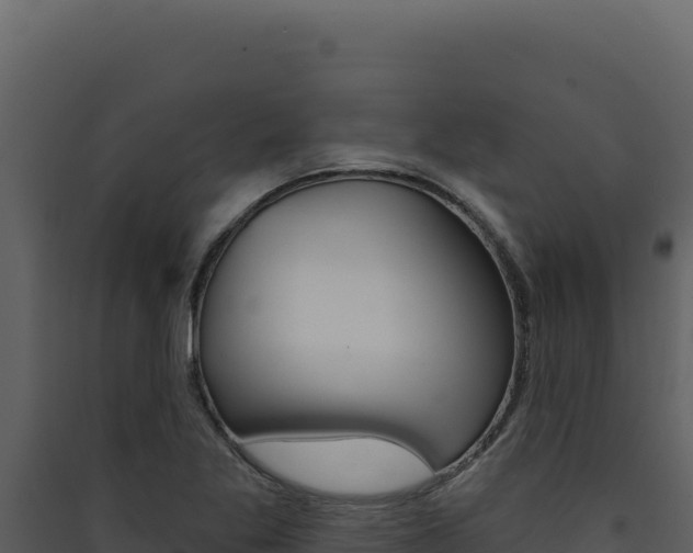 X0000090441269200707131022