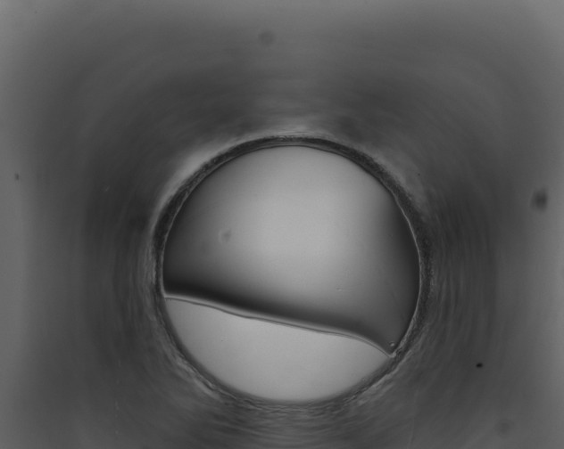 X0000090441270200707131022