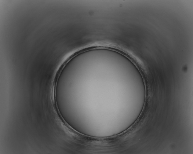X0000090441272200707131022