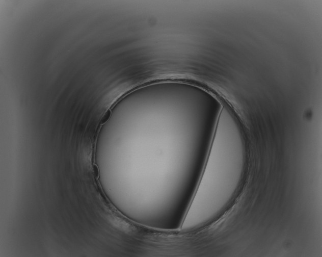 X0000090441273200707131022
