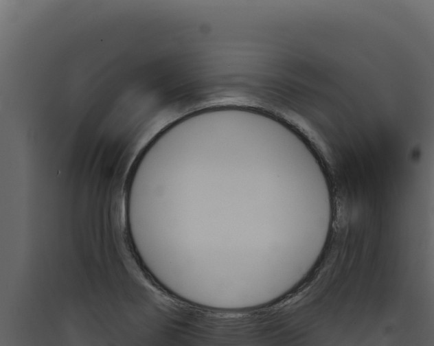 X0000090441274200707131022