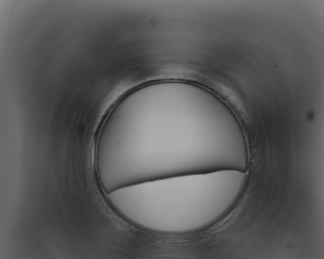 X0000090441275200707131022