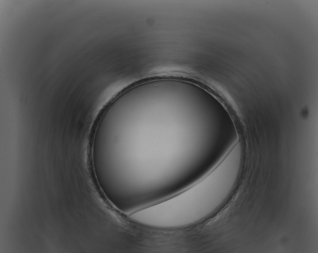 X0000090441277200707131022