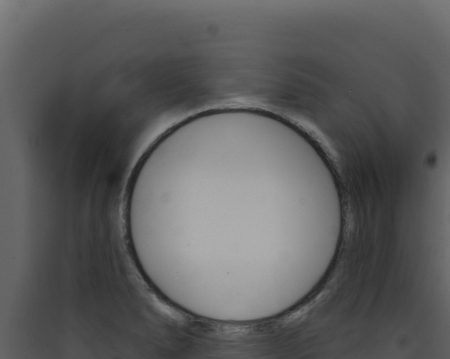 X0000090441278200707131022