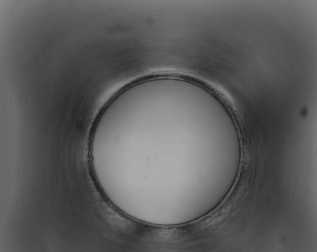 X0000090441279200707131022