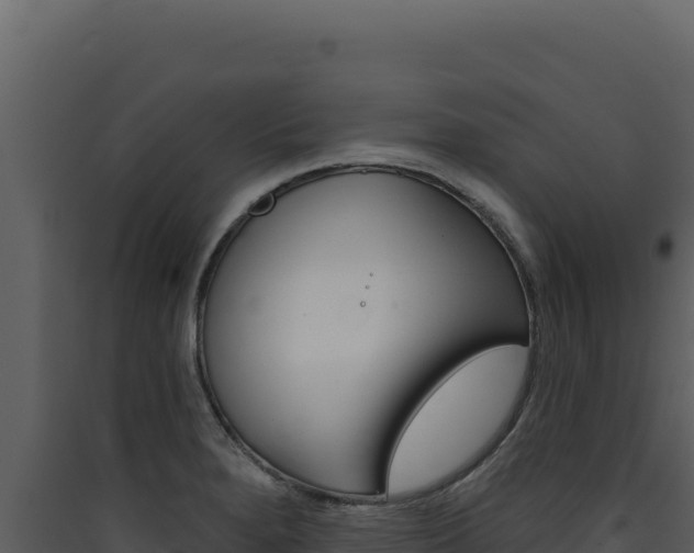X0000090441280200707131022