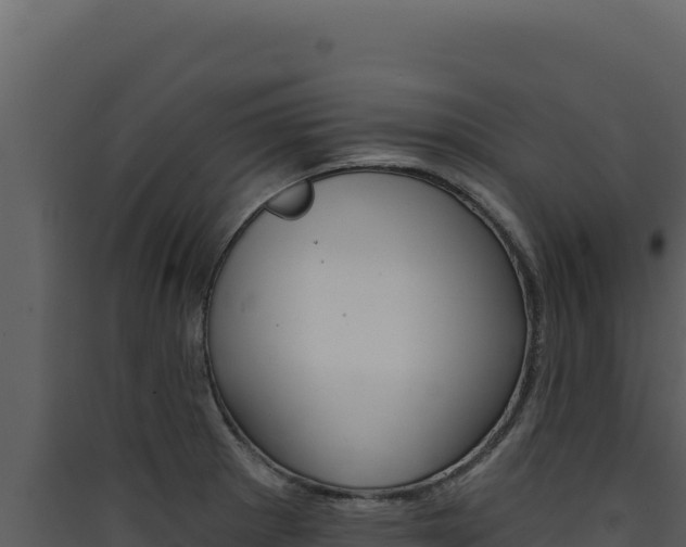 X0000090441281200707131022