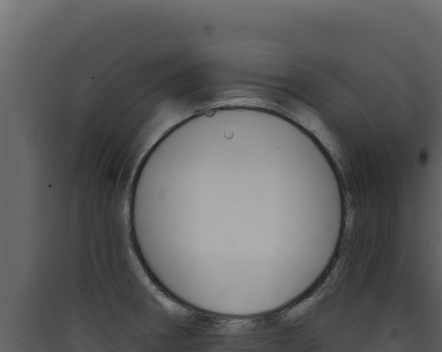X0000090441282200707131022