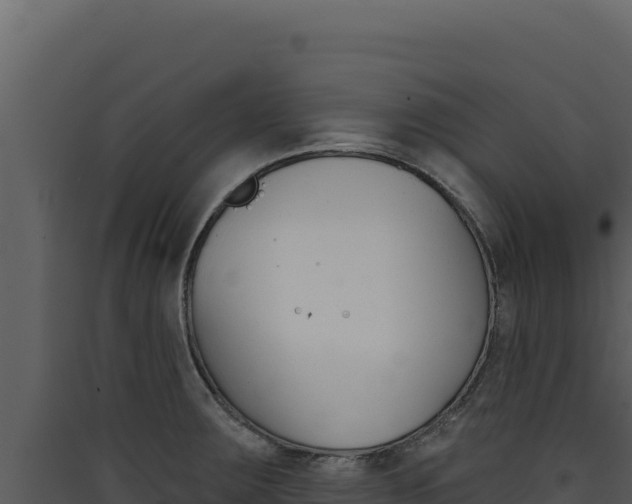 X0000090441283200707131022