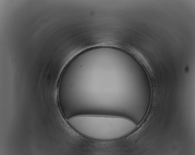 X0000090441284200707131022