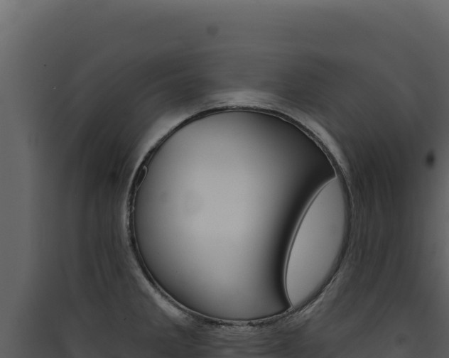 X0000090441285200707131022