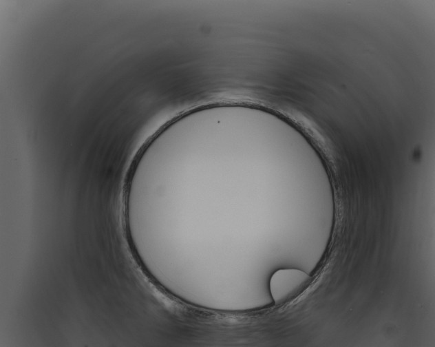 X0000090441286200707131022