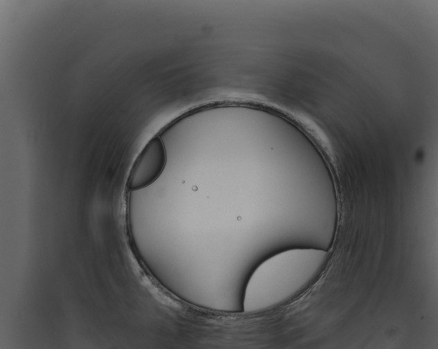 X0000090441287200707131022