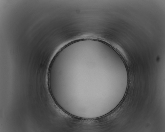 X0000090441288200707131022