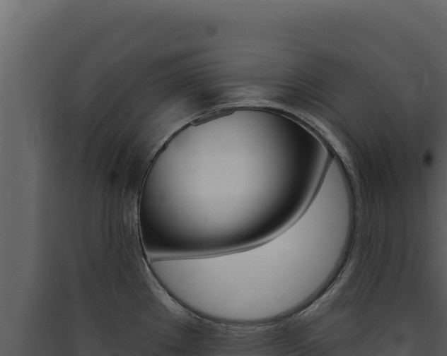 X0000090441289200707131022
