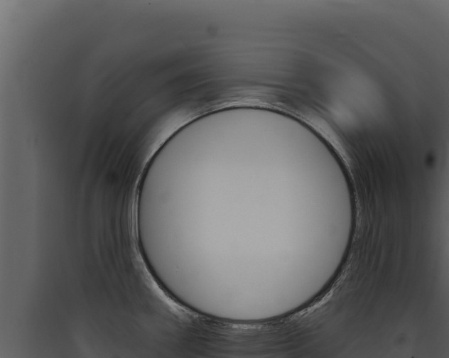 X0000090441290200707131022