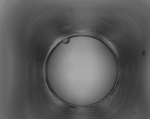 X0000090441291200707131022