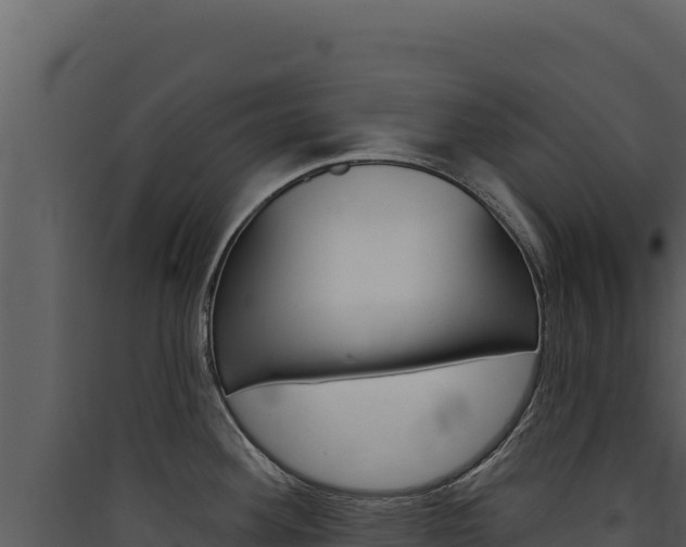 X0000090441292200707131022
