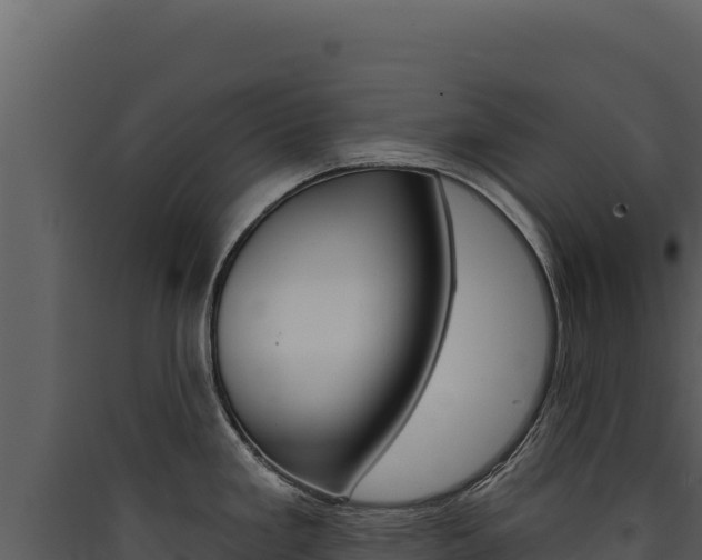 X0000090441293200707131022