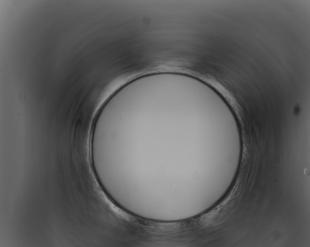 X0000090441294200707131022