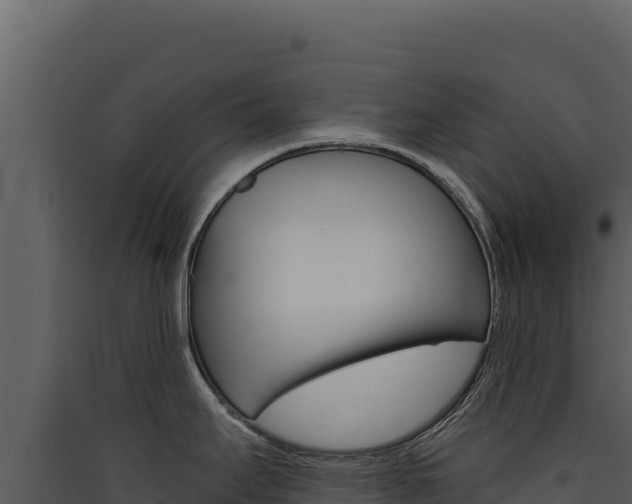 X0000090441295200707131022