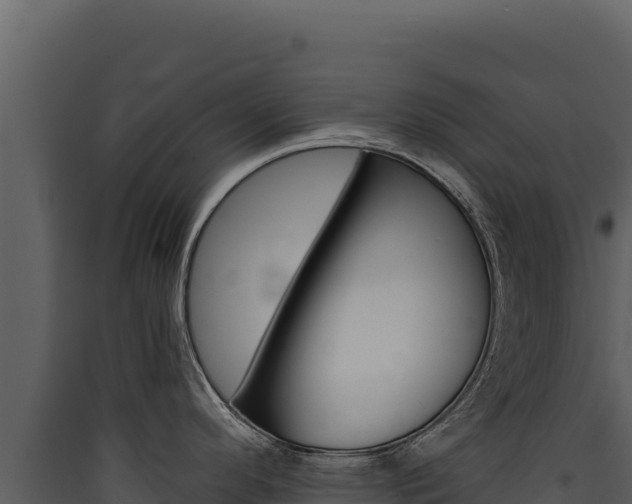X0000090441296200707131022