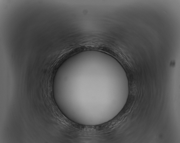 X0000090441297200707131021