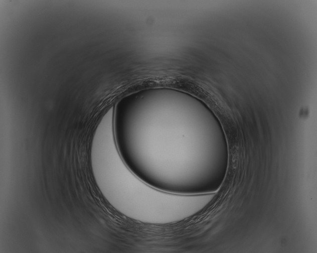 X0000090441298200707131021