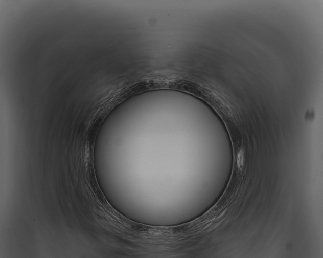 X0000090441299200707131021