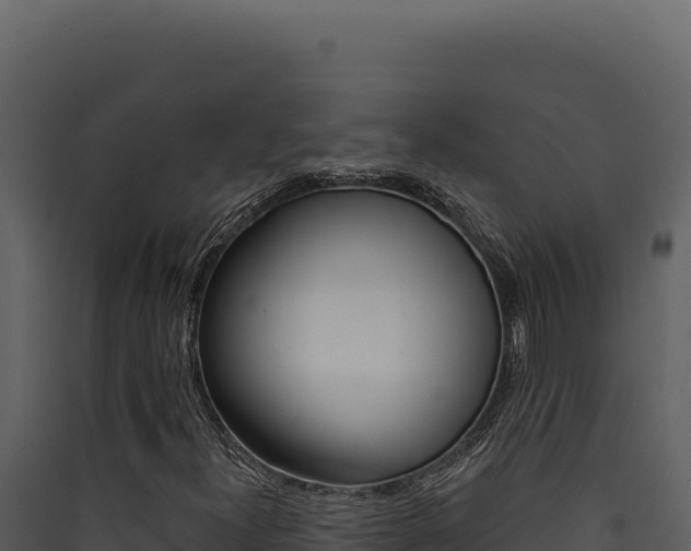 X0000090441300200707131021