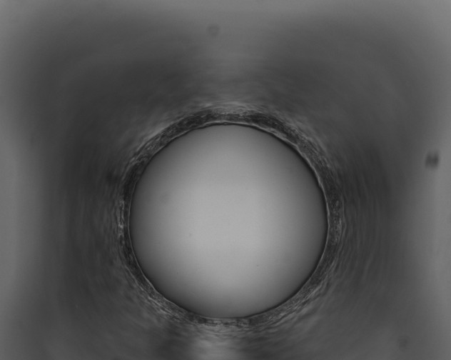 X0000090441301200707131021