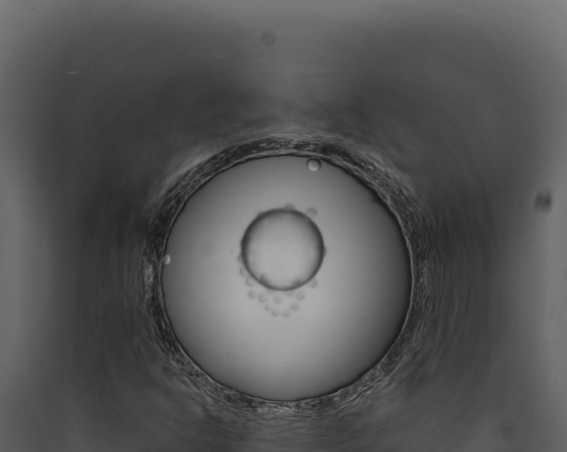 X0000090441302200707131021