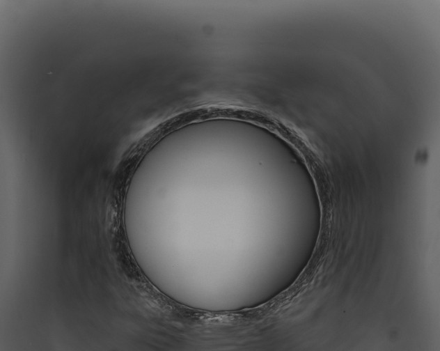 X0000090441303200707131021