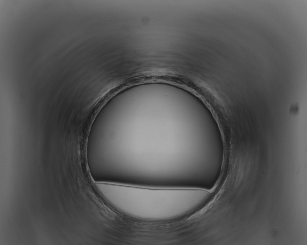 X0000090441305200707131021