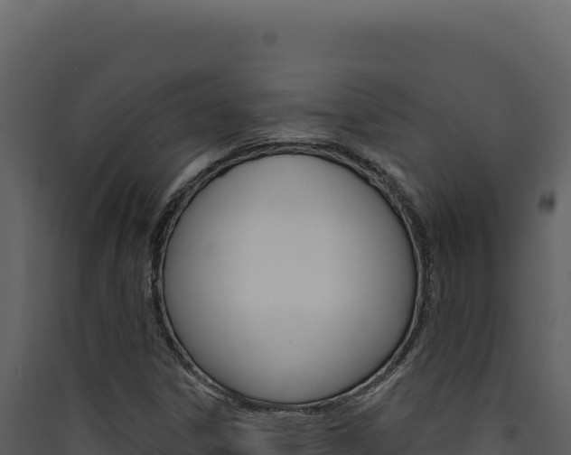 X0000090441306200707131021