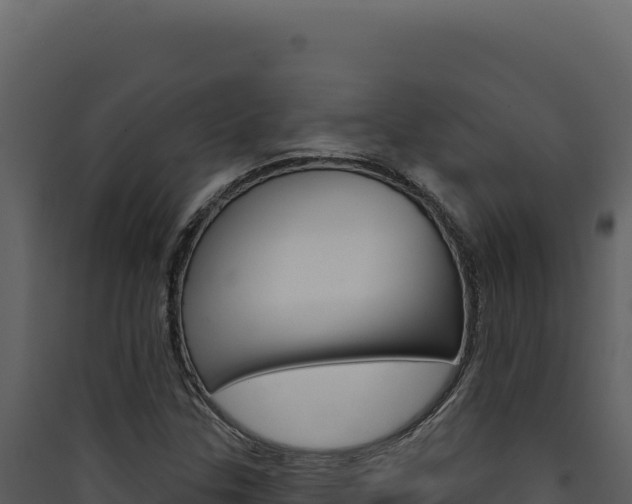 X0000090441307200707131021