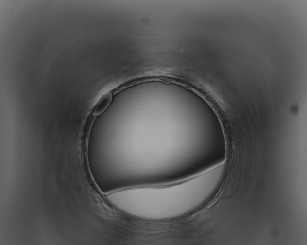 X0000090441308200707131021