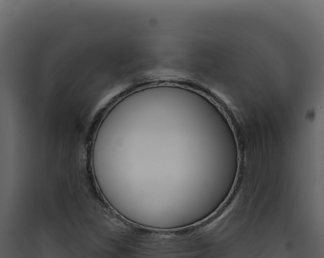 X0000090441309200707131021